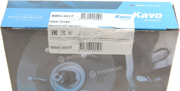 Kavo BBH-3017