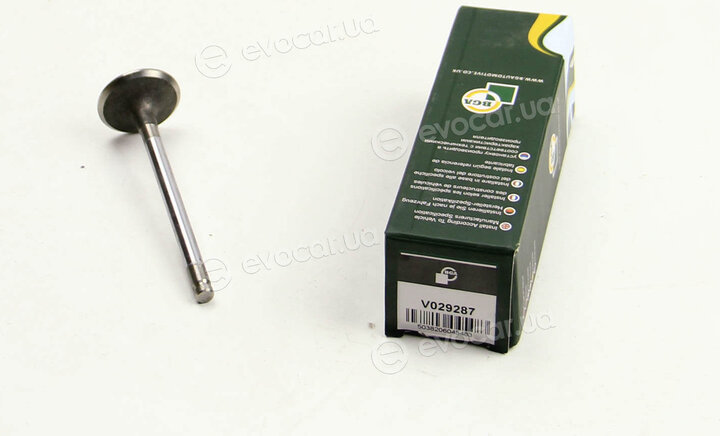 BGA V029287