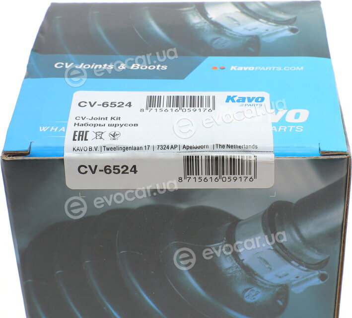 Kavo CV-6524