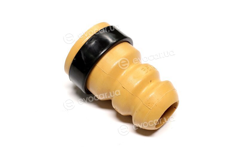 Sasic 2654052