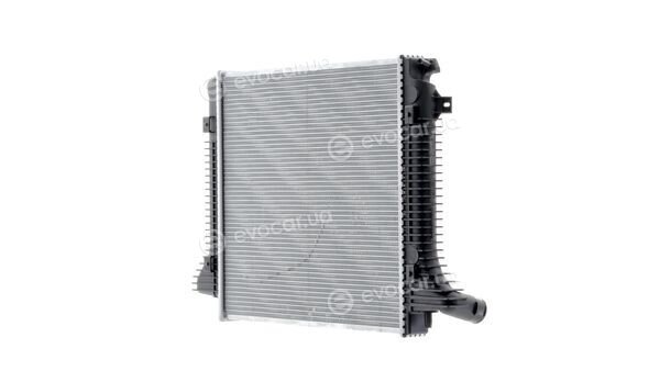 Mahle CR 1217 000P