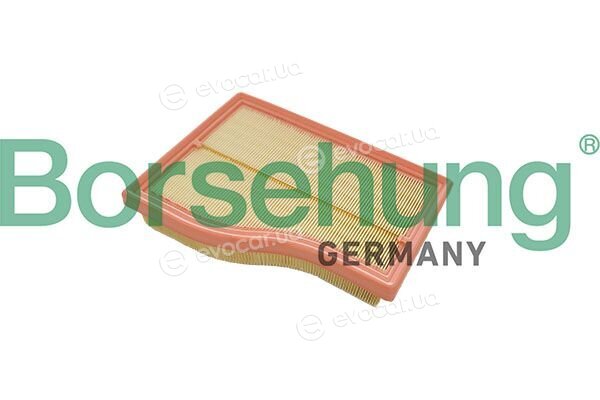 Borsehung B13056
