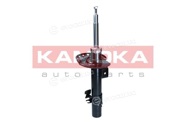 Kamoka 2001287