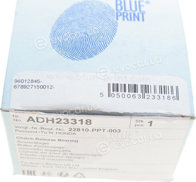 Blue Print ADH23318