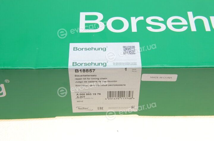 Borsehung B18857