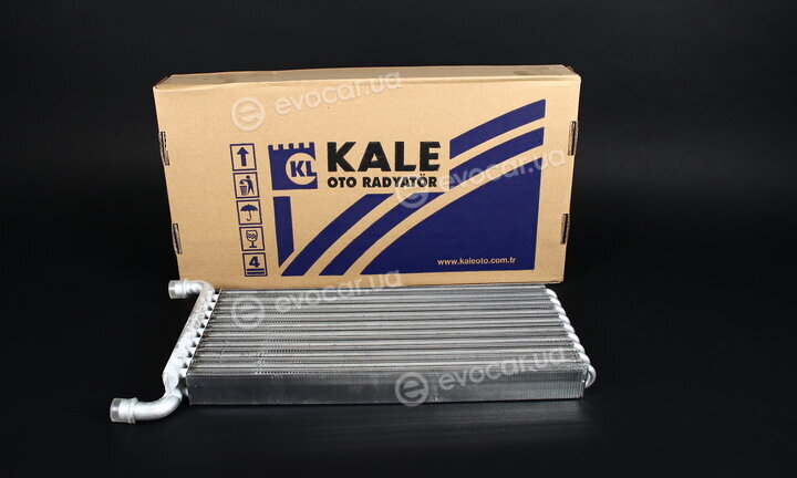 Kale 346620