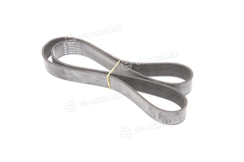 Dayco 10PK1350HD