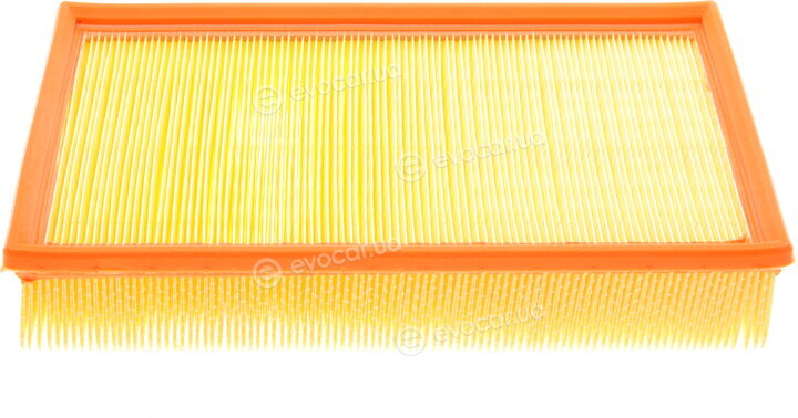 Mann C 31 152/1