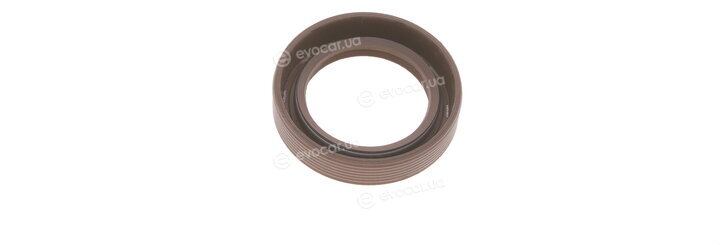 Borsehung B11307