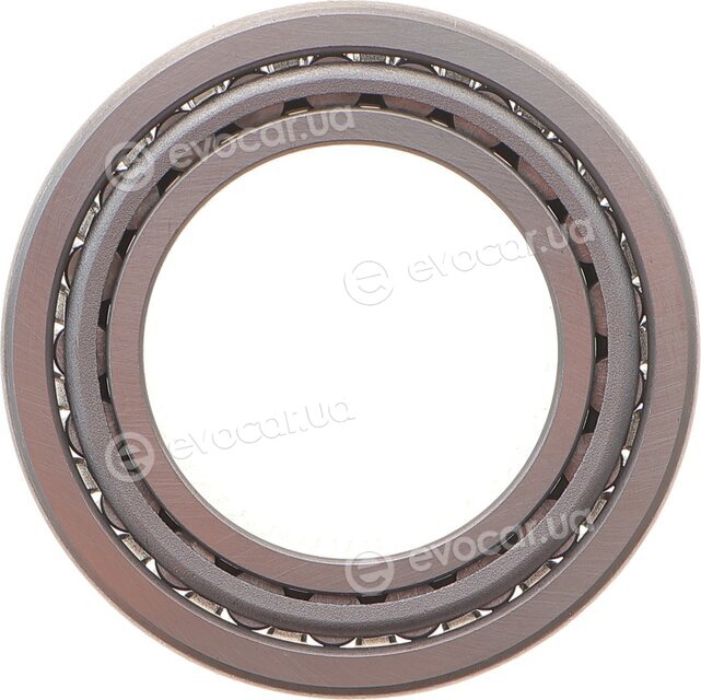 Solgy 214092