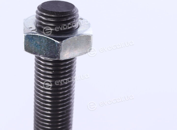 Kapimsan 23-13210