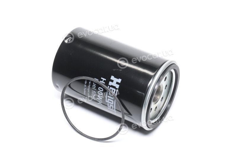 Hengst H700WK