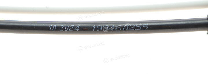 Solgy 119018