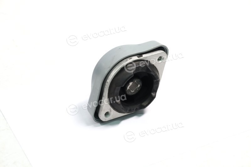 Sasic 9001954
