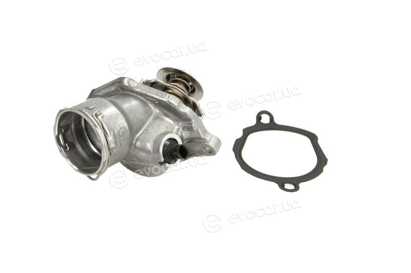 Mahle TM 29 100D