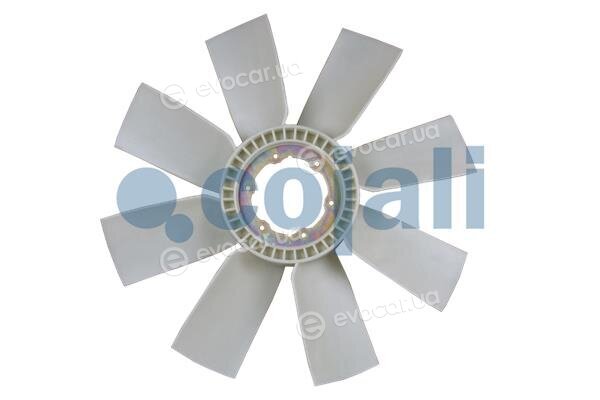 Cojali 7087119