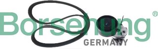 Borsehung B12361
