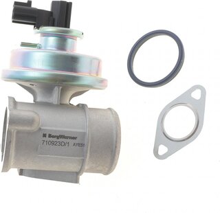 Wahler / BorgWarner 710923D
