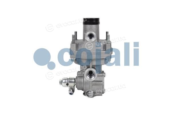 Cojali 2220341