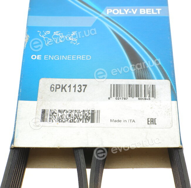 Dayco 6PK1137