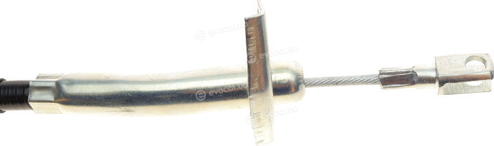 Bogap C3126115