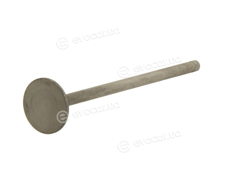 Freccia R4901/RNT