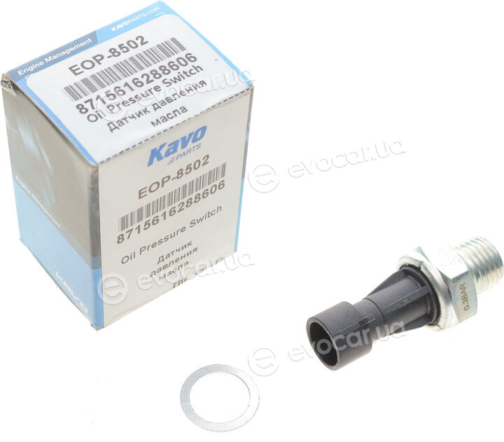 Kavo EOP-8502