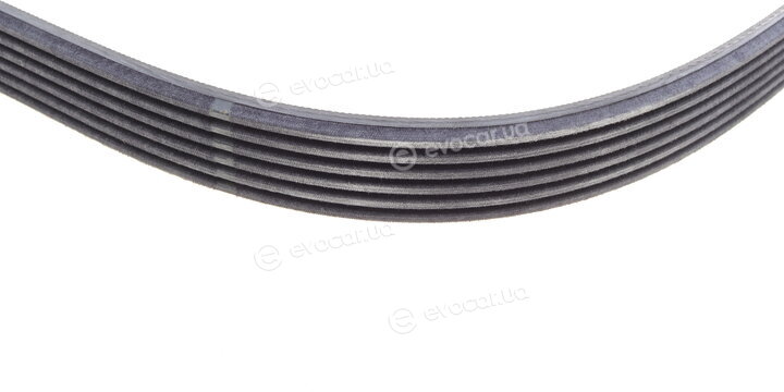 Continental 6PK1019 ELAST T1