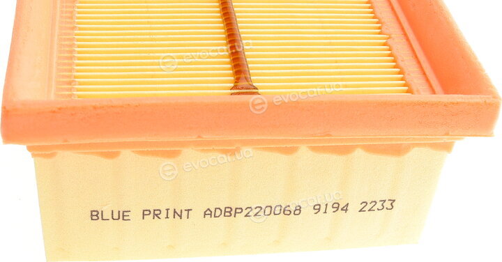 Blue Print ADBP220068