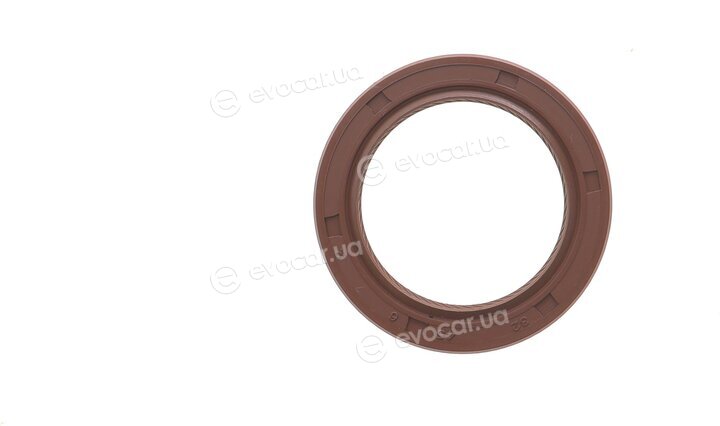 Motive TCK250