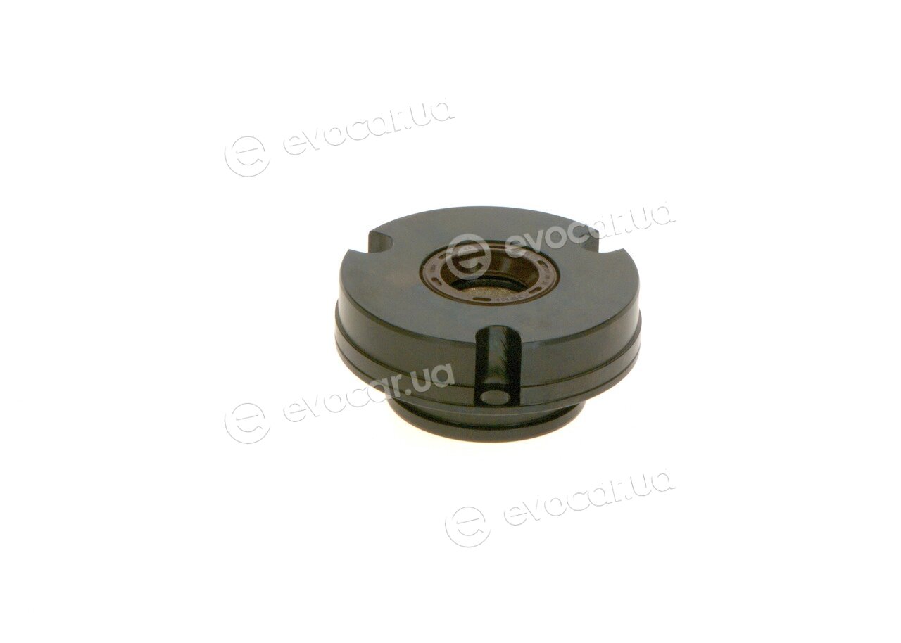 Bosch F 01M 101 217