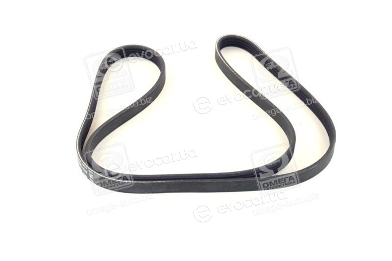 Dayco 4PK1260