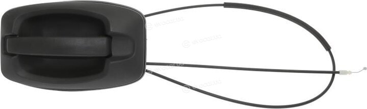 AIC 55847