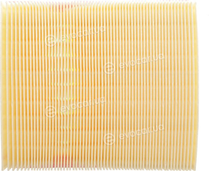 Solgy 103145