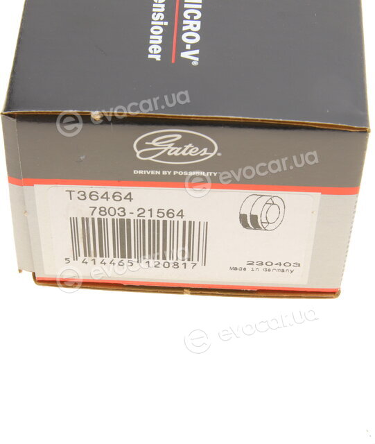 Gates T36464