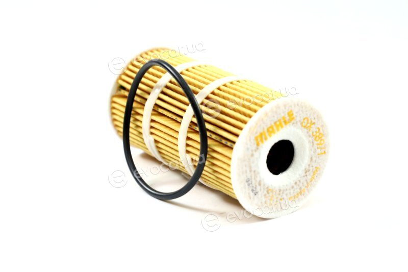 Mahle OX 389/1D