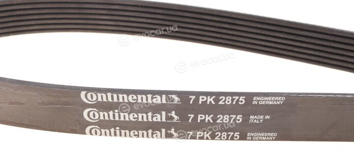 Continental 7PK2875