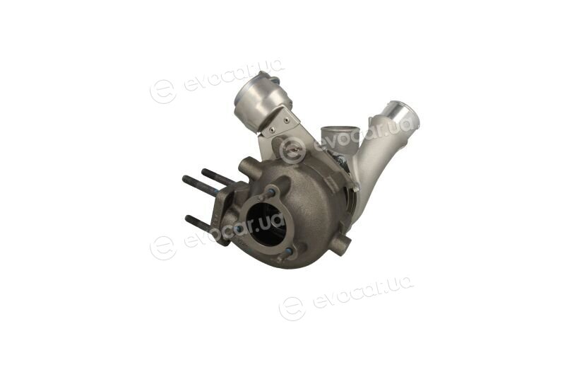 BorgWarner 53039880145
