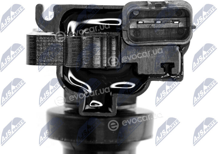NTY ECZ-MS-012
