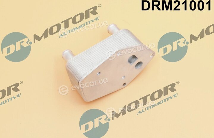 Dr. Motor DRM21001