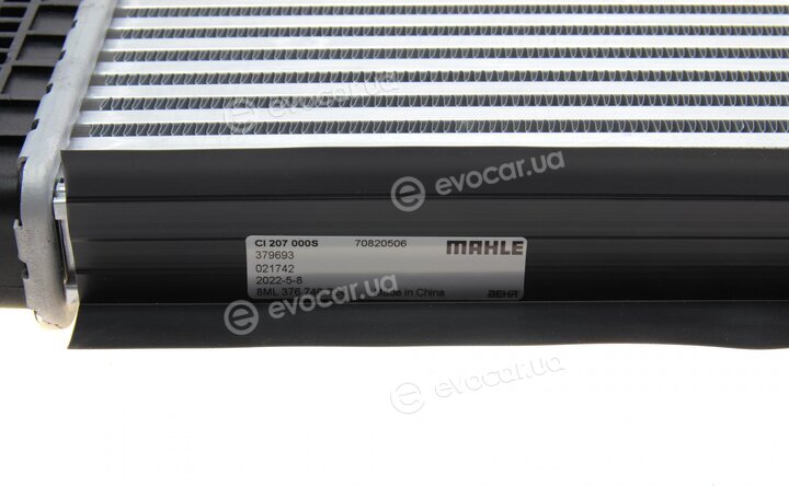 Mahle CI 207 000S