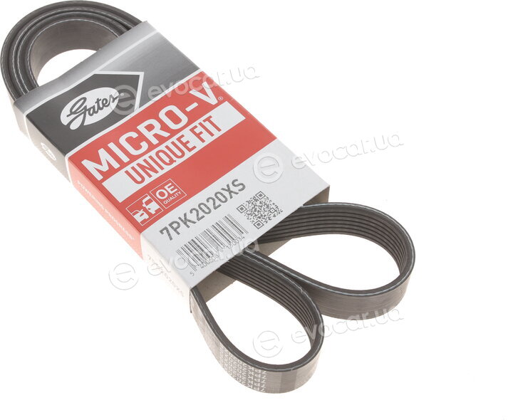 Gates 7PK2020XS