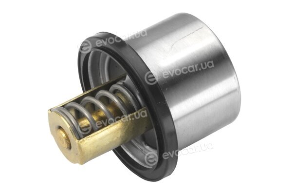 Wahler / BorgWarner 4619.82