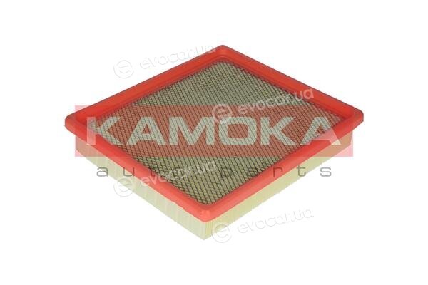 Kamoka F216901