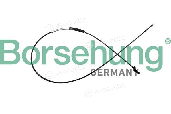 Borsehung B10783