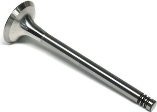 Gunes 6025