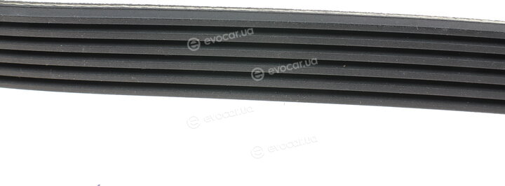 Hutchinson 842 SK 6