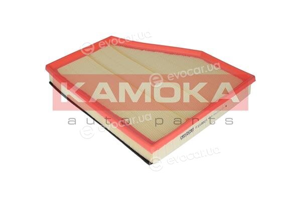 Kamoka F219601