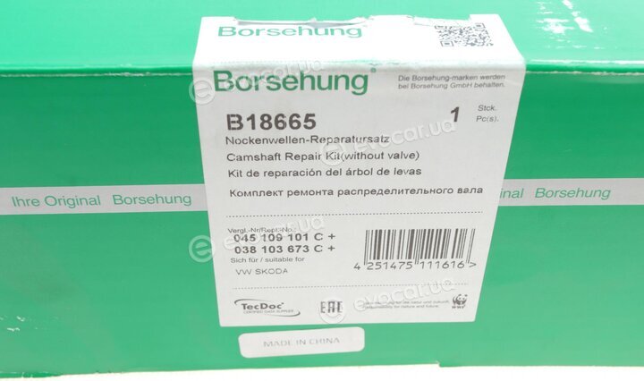 Borsehung B18665