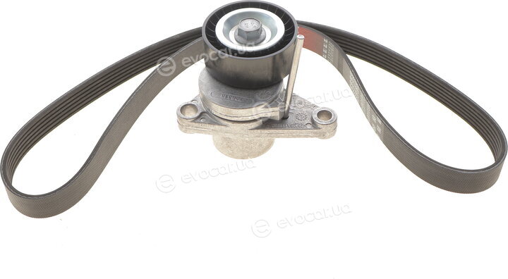 Gates K036PK1053
